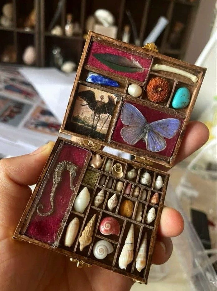 cabinet of curiosities diy